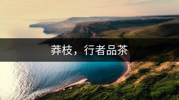 莽枝，行者品茶