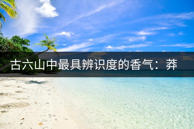 古六山中最具辨識度的香氣:莽枝 古六山中最具辨識度的香氣:莽枝