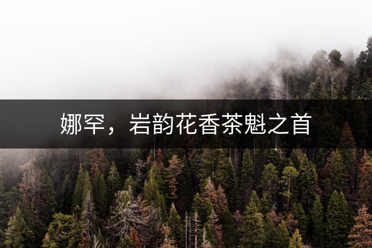 娜罕，巖韻花香茶魁之首