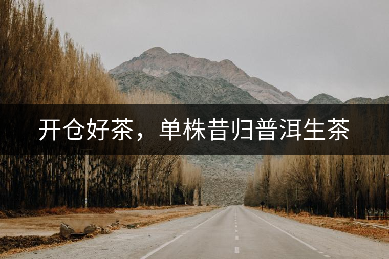 開倉好茶，單株昔歸普洱生茶