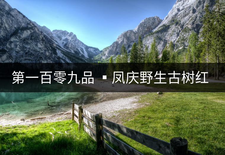 第一百零九品 ?鳳慶野生古樹紅茶 第一百零九品 ?鳳慶野生古樹紅茶