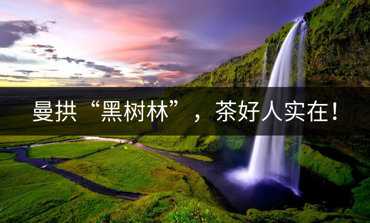 曼拱“黑樹林”，茶好人實(shí)在！