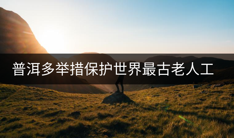 普洱多舉措保護世界最古老人工茶園 普洱多舉措保護世界最古老人工茶園