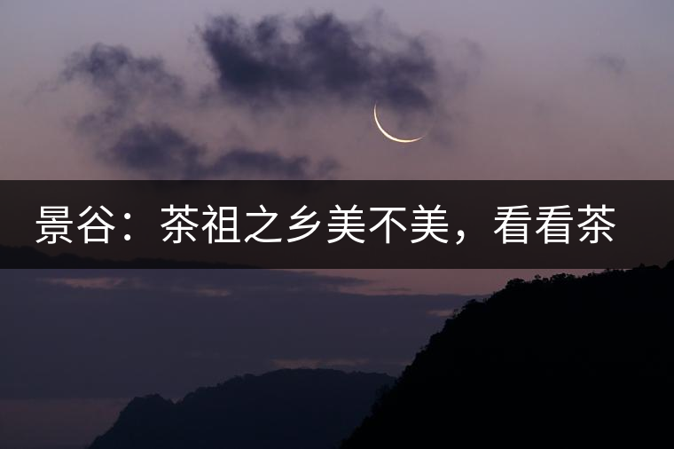 景谷：茶祖之鄉(xiāng)美不美，看看茶山和美人