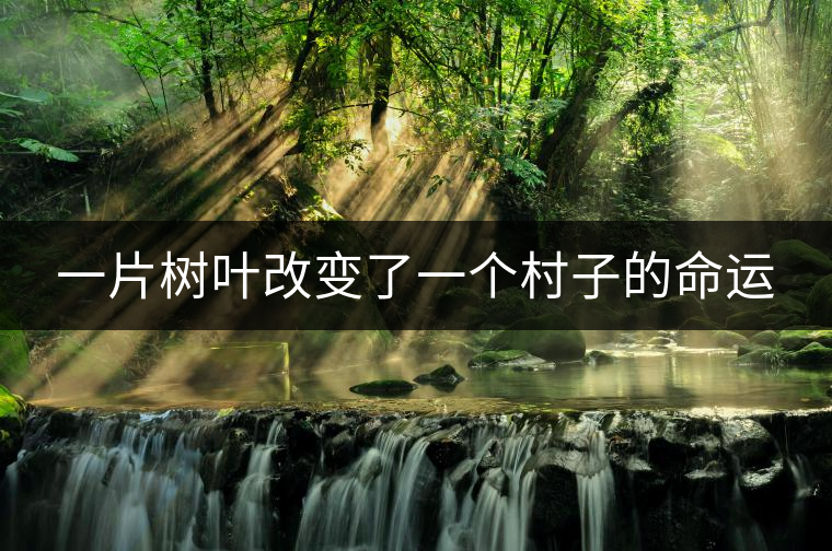 一片樹葉改變了一個(gè)村子的命運(yùn)