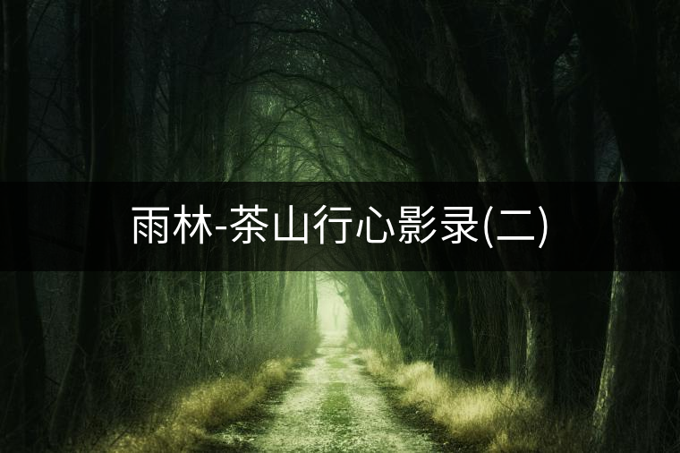 雨林-茶山行心影錄(二)