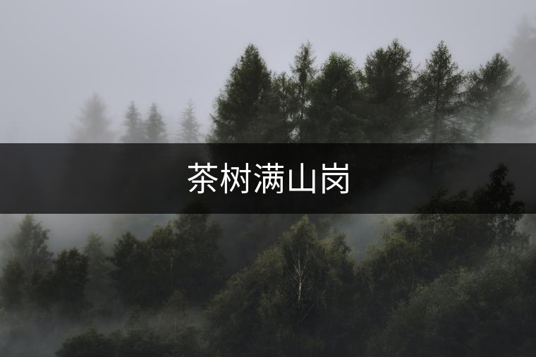 茶樹(shù)滿(mǎn)山崗