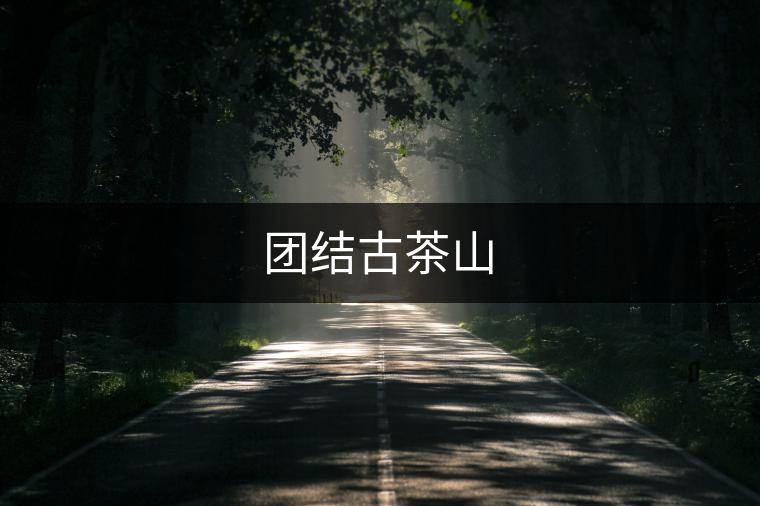 團結古茶山