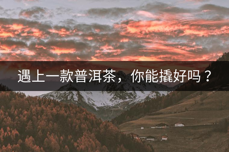 遇上一款普洱茶，你能撬好嗎 ？