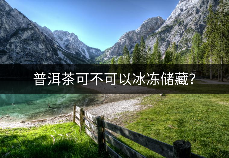 普洱茶可不可以冰凍儲藏？