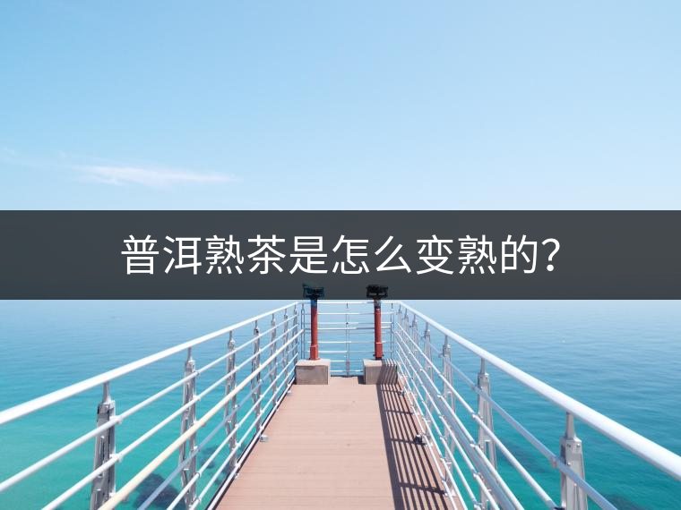 普洱熟茶是怎么變熟的？