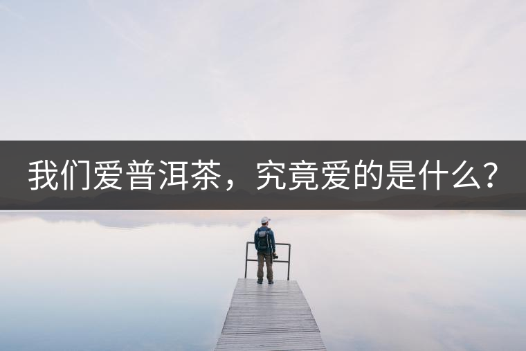 我們愛普洱茶，究竟愛的是什么？