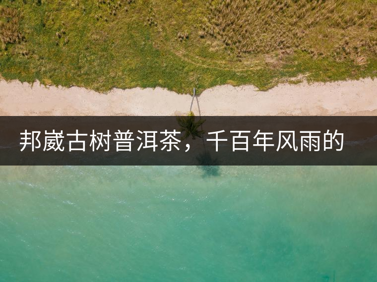 邦崴古樹(shù)普洱茶，千百年風(fēng)雨的洗禮