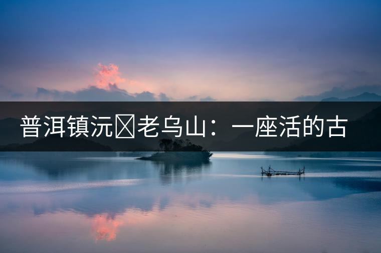 普洱鎮(zhèn)沅?老烏山：一座活的古茶樹博物館