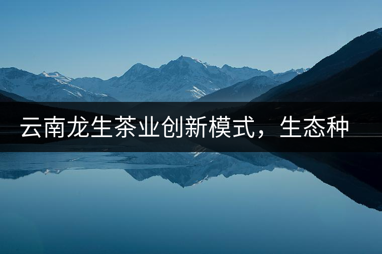 云南龍生茶業(yè)創(chuàng)新模式，生態(tài)種植