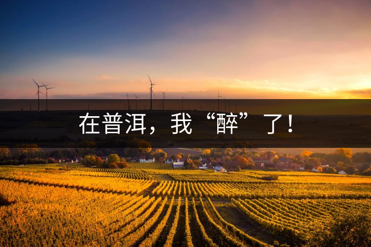 在普洱，我“醉”了！