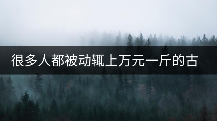 很多人都被動(dòng)輒上萬(wàn)元一斤的古樹茶給嚇住了，其實(shí)正宗的普洱茶古樹茶沒那么貴，源頭茶農(nóng)分享真實(shí)的古樹普洱茶！