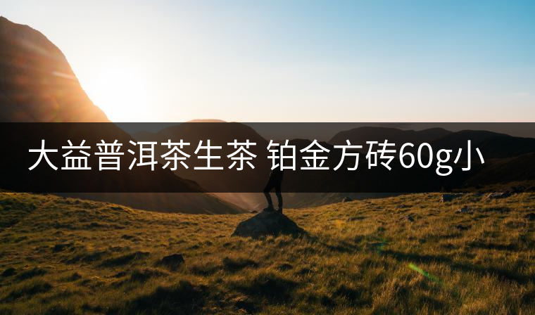 大益普洱茶生茶 鉑金方磚60g小巧便攜磚茶云南勐海茶廠1901批次