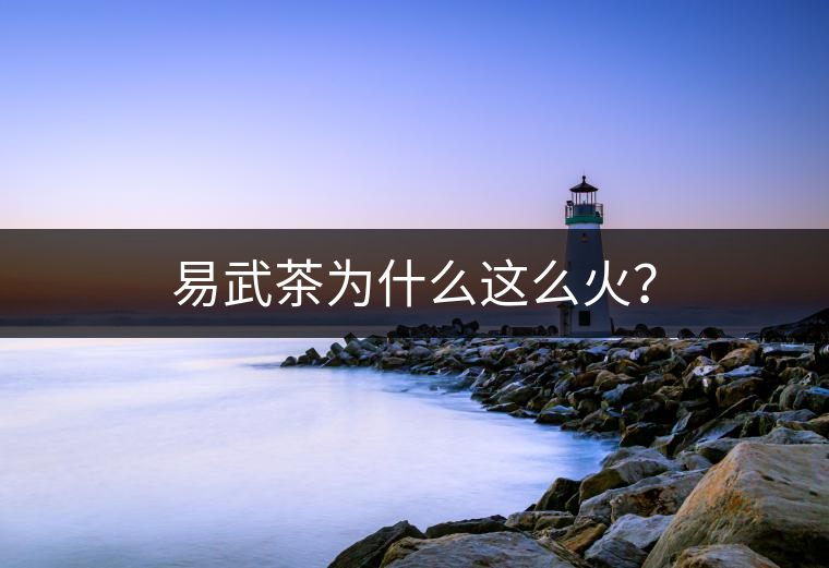 易武茶為什么這么火？