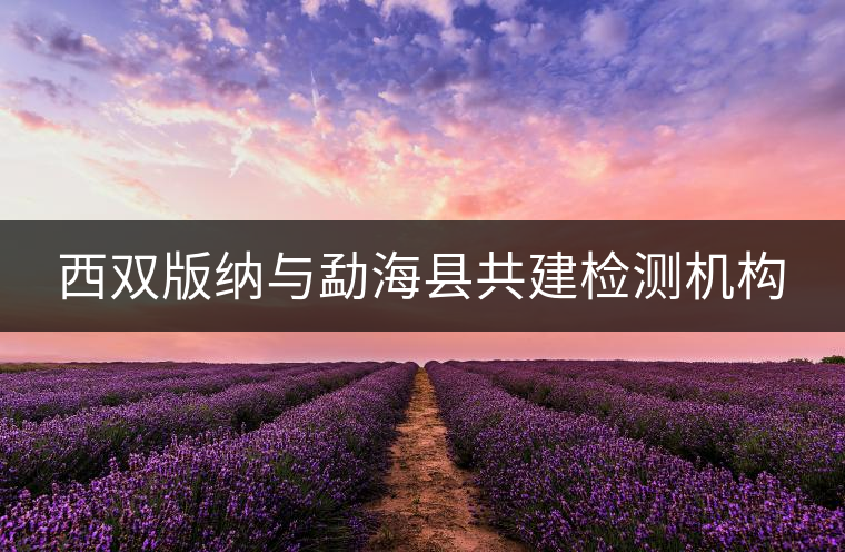 西雙版納與勐?？h共建檢測機(jī)構(gòu)