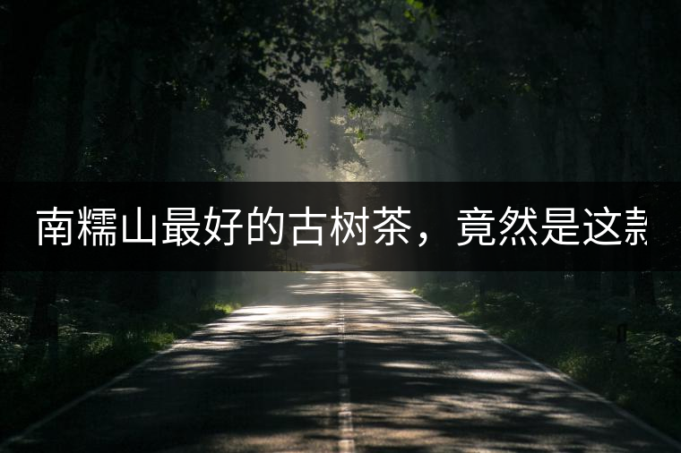 南糯山最好的古樹(shù)茶，竟然是這款！
