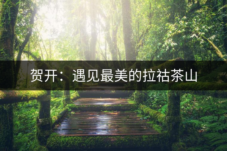 賀開：遇見最美的拉祜茶山
