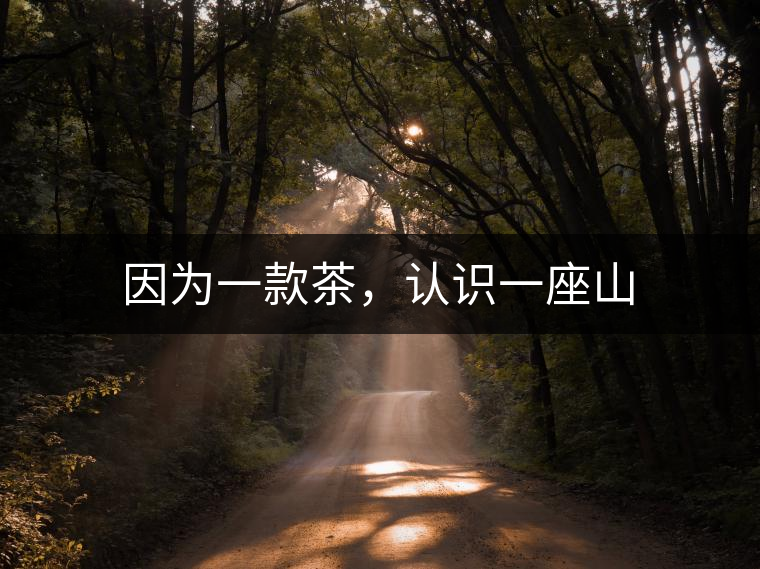 因為一款茶，認識一座山