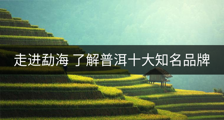 走進(jìn)勐海 了解普洱十大知名品牌