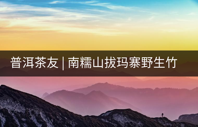 普洱茶友 | 南糯山拔瑪寨野生竹蓀給看過？