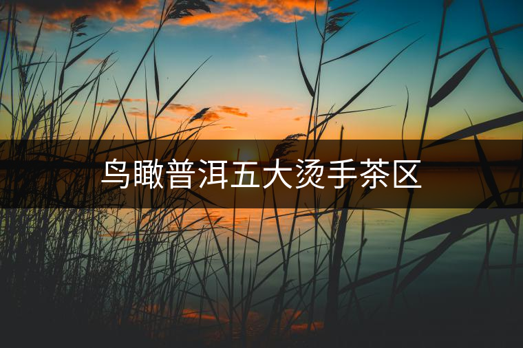 鳥瞰普洱五大燙手茶區(qū)