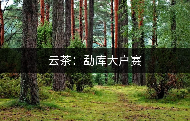 云茶：勐庫大戶賽