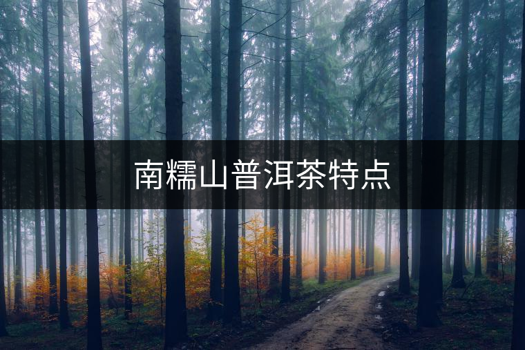 南糯山普洱茶特點