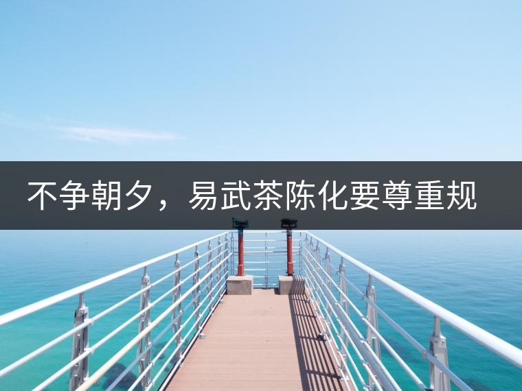不爭朝夕，易武茶陳化要尊重規(guī)律