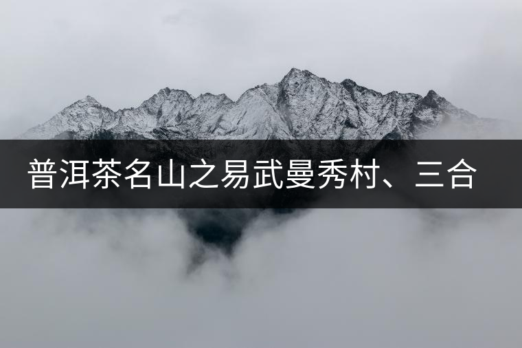 普洱茶名山之易武曼秀村、三合社村