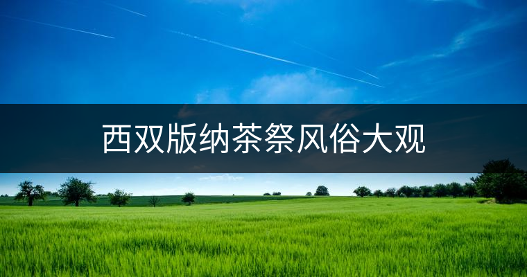 西雙版納茶祭風(fēng)俗大觀