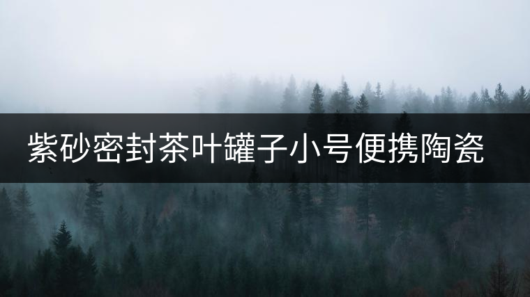 紫砂密封茶葉罐子小號便攜陶瓷儲存茶罐家用防潮普洱茶收納盒禮盒