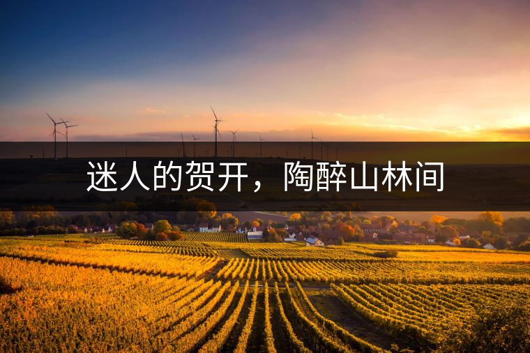 迷人的賀開，陶醉山林間