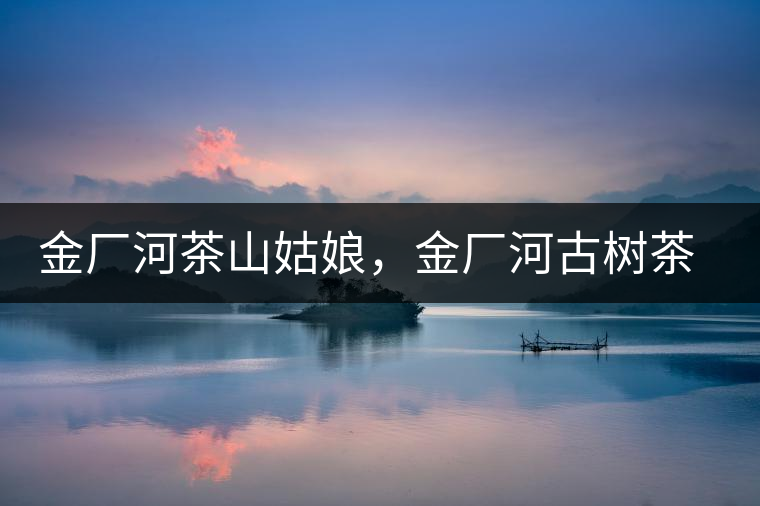 金廠河茶山姑娘，金廠河古樹茶特點與價格