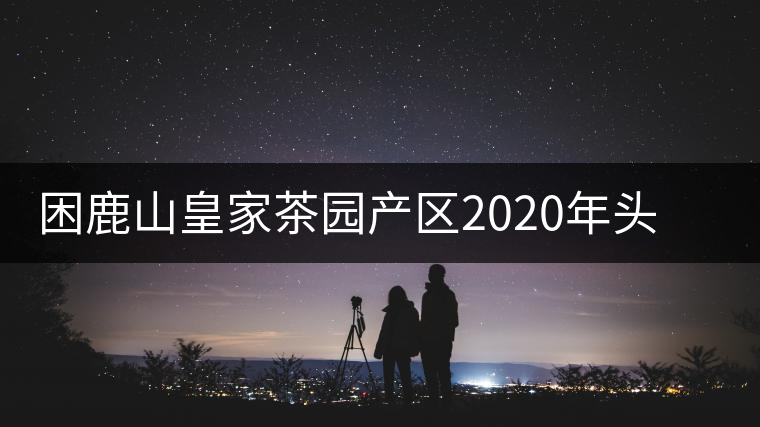 困鹿山皇家茶園產(chǎn)區(qū)2020年頭春古樹(shù)，白花林口感特點(diǎn)