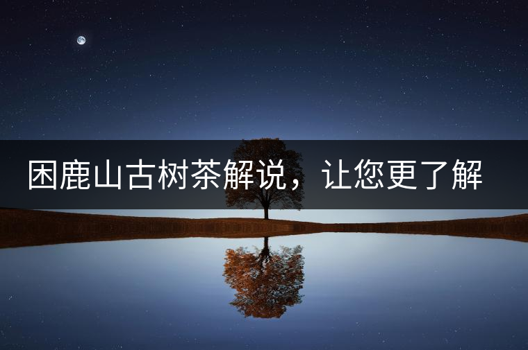 困鹿山古樹茶解說，讓您更了解古樹貢茶