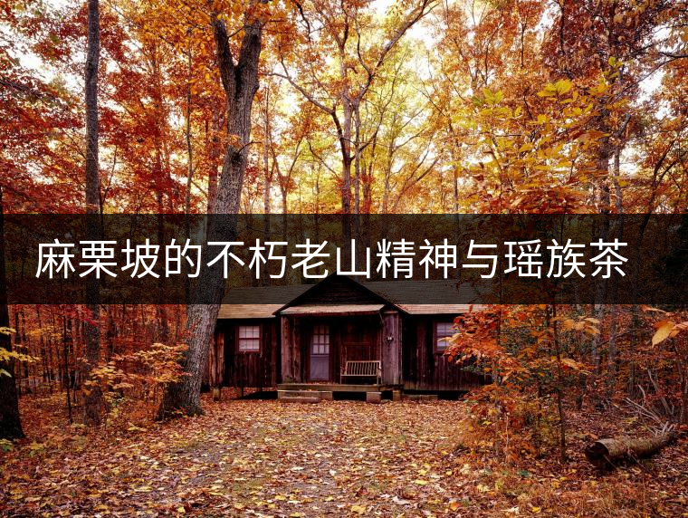 麻栗坡的不朽老山精神與瑤族茶文化
