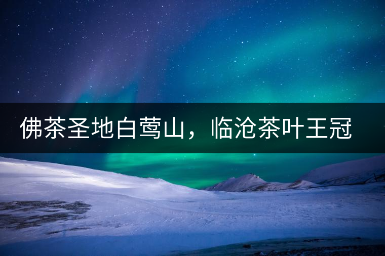 佛茶圣地白鶯山，臨滄茶葉王冠上的明珠