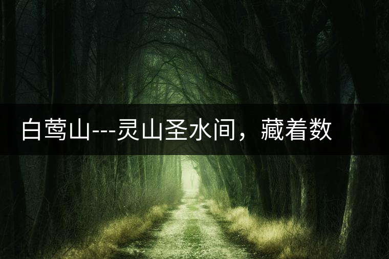 白鶯山---靈山圣水間，藏著數(shù)不盡的佛茶佳話