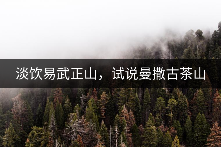 淡飲易武正山，試說曼撒古茶山