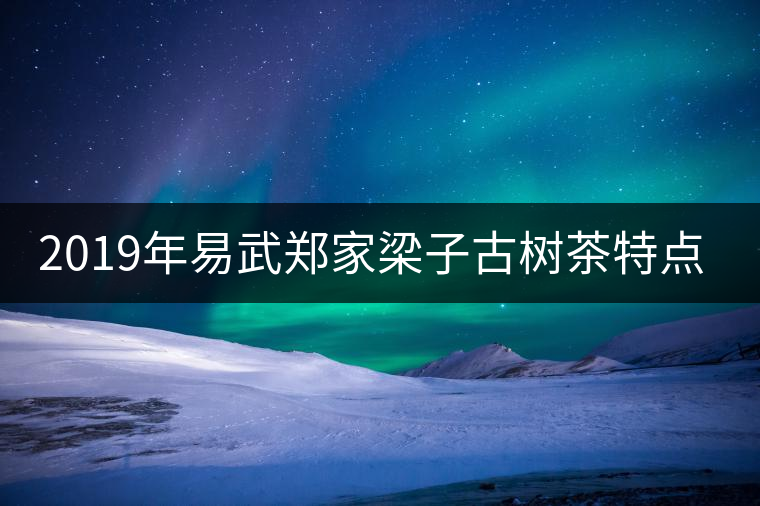 2019年易武鄭家梁子古樹(shù)茶特點(diǎn)介紹
