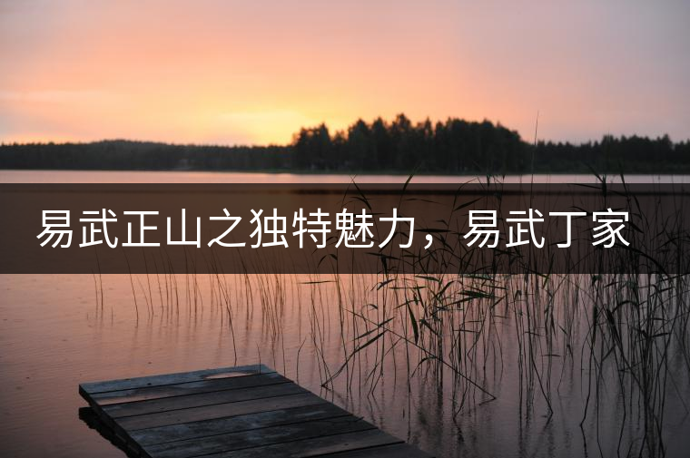 易武正山之獨(dú)特魅力，易武丁家寨介紹品鑒