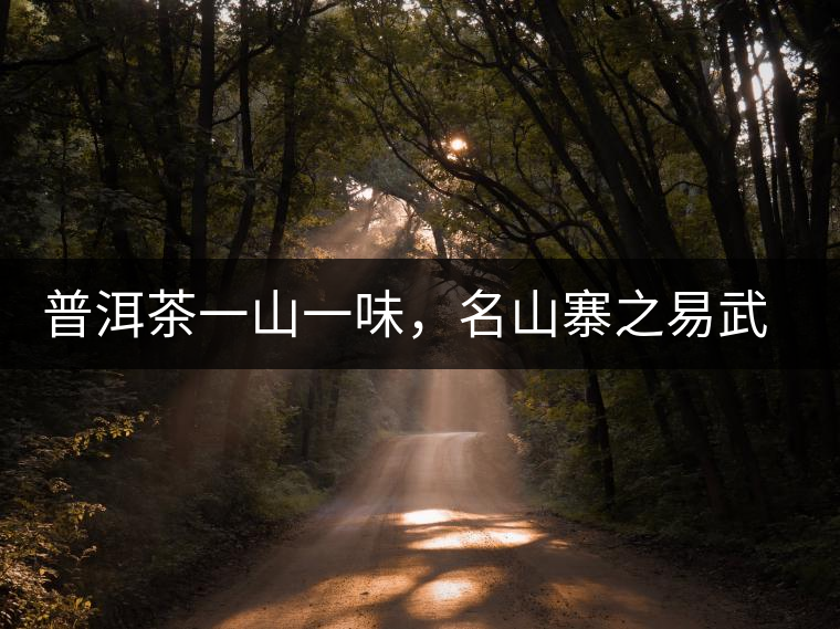 普洱茶一山一味，名山寨之易武彎弓瑤族丁家寨