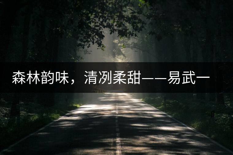 森林韻味，清冽柔甜——易武一扇磨古樹茶特點(diǎn)
