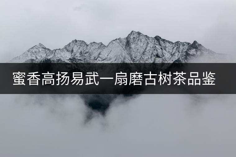 蜜香高揚易武一扇磨古樹茶品鑒開湯 蜜香高揚易武一扇磨古樹茶品鑒開湯