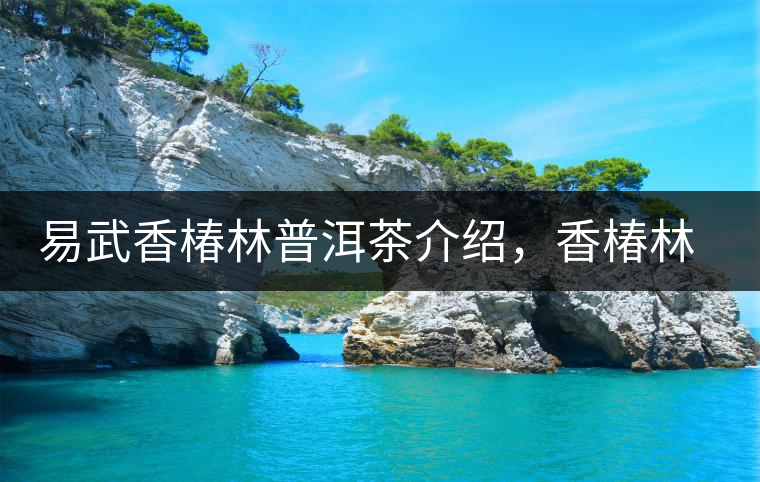 易武香椿林普洱茶介紹，香椿林古樹茶口感特點